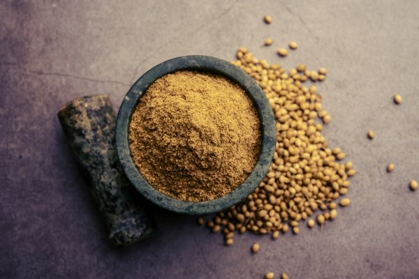 Stone bowl filled with coriander powder surrounded by whole coriander seeds – Top 10 Benefits of Coriander Powder